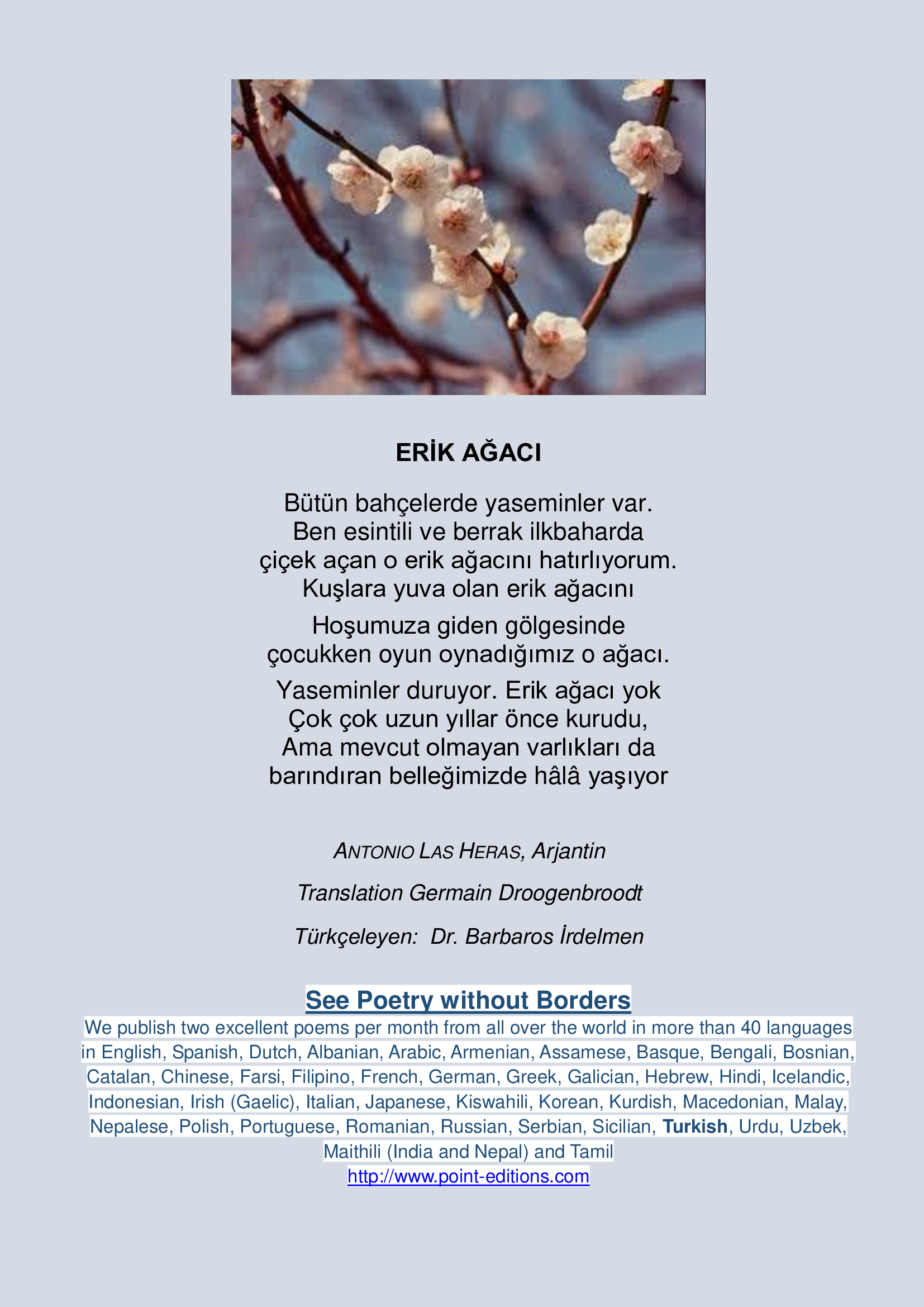 Erik Ağacı
