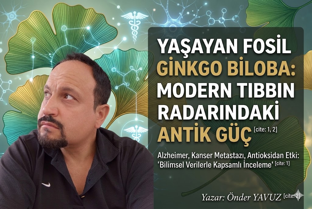 Yaşayan Fosil Ginkgo Biloba: Modern Tıbbın Radarındaki Antik Güç
