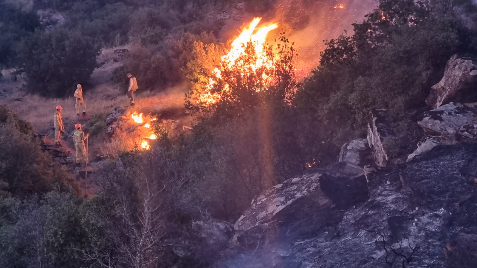Bozdoğan’da Kızılçakır Mevkiinde Yangın Alarmı: Müdahale Sürüyor
