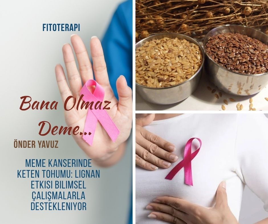 Meme Kanserinde Keten Tohumu
