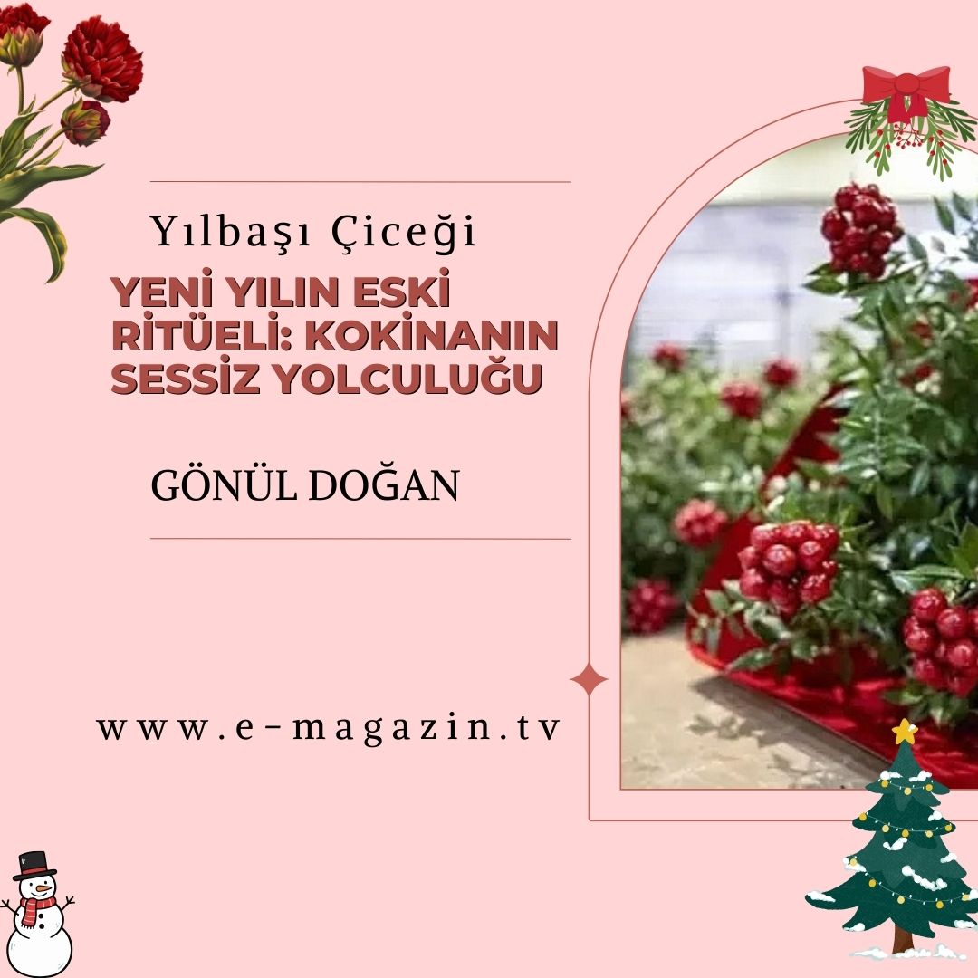 Yeni Yılın Eski Ritüeli: Kokinanın Sessiz Yolculuğu