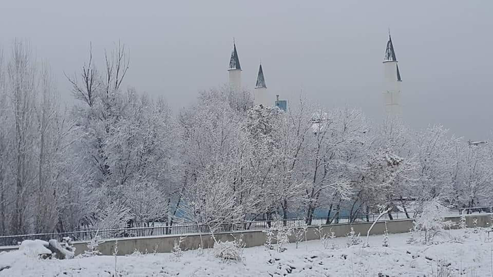 Ağrı'da Zorlu Kış Şartlarıyla Mücadele Devam Ediyor